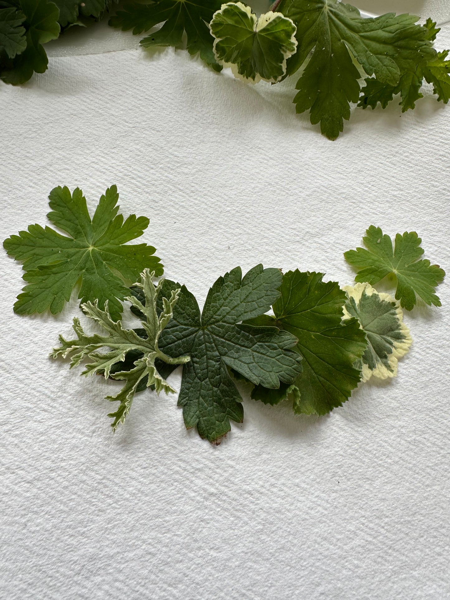 WORKSHOP - BRASS LEAF WREATH